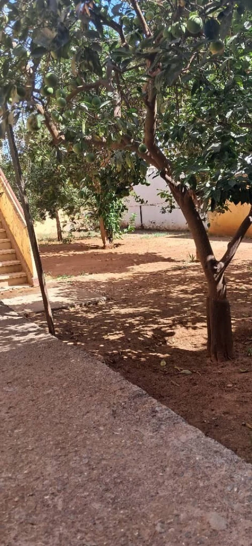 Vente Villa Alger Hussein dey