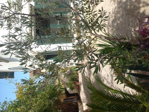 Vente Villa Alger Kouba