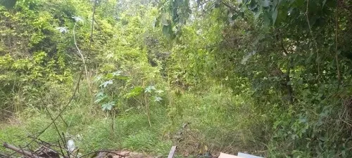 Vente Terrain Alger Hussein dey