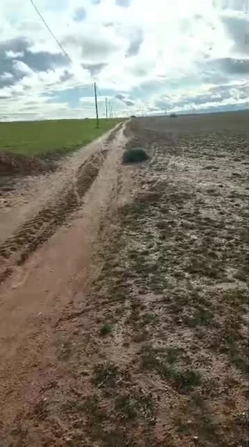 Location Terrain Agricole Djelfa Birine 2