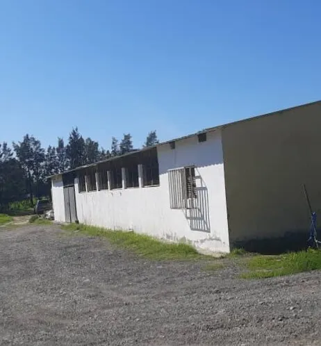 Location Hangar - Usine Tizi Ouzou Tirmitine