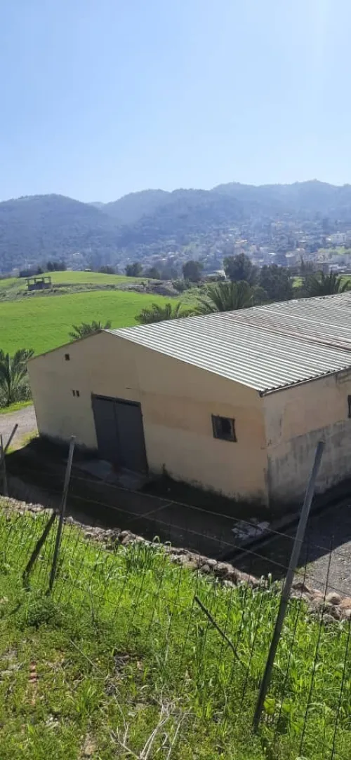 Location Hangar - Usine Tizi Ouzou Tirmitine