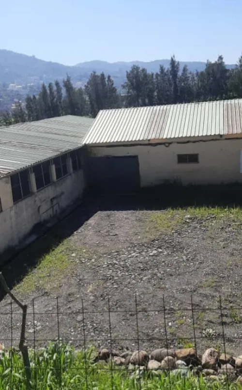 Location Hangar - Usine Tizi Ouzou Tirmitine