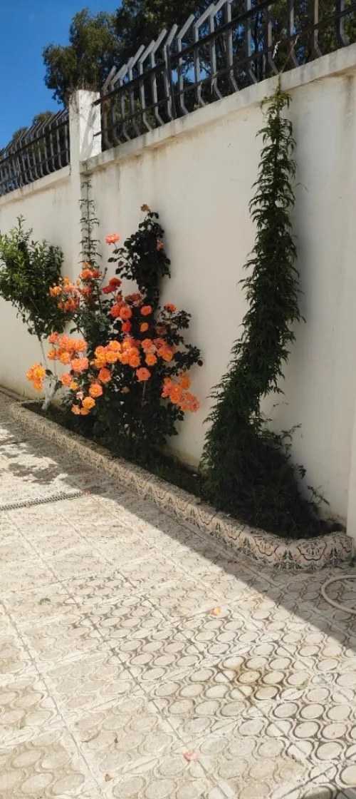 Location vacances Villa El Tarf El kala