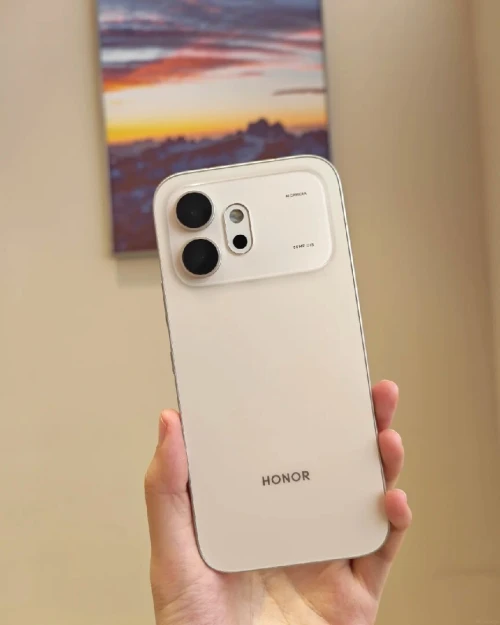 Honor HONOR 600 Vitality Edition
