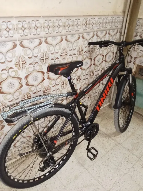 Tiniri Xl 2025