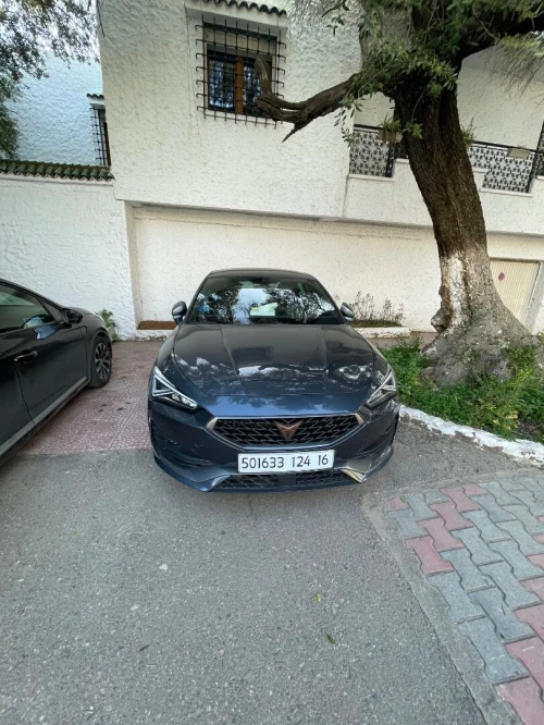 Seat Cupra  2024 V