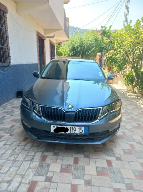 Skoda Octavia 2019 Clever