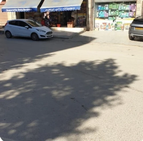 Vente Appartement F3 Alger Dely brahim