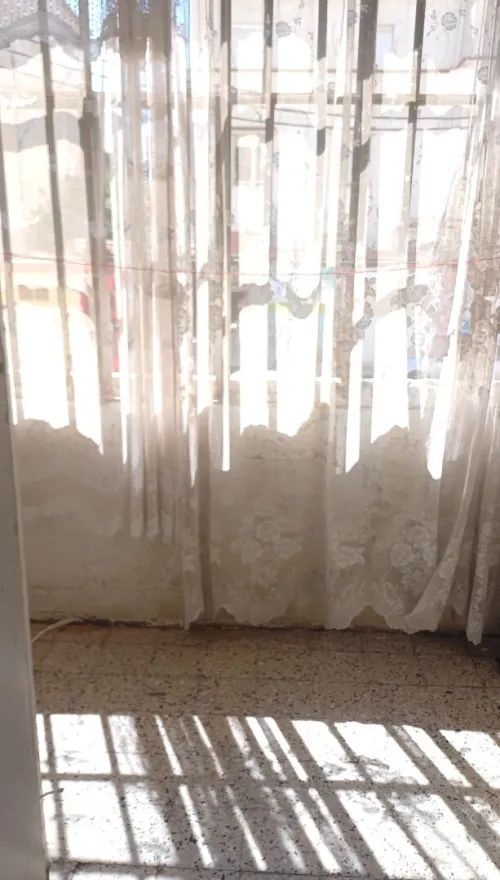 Vente Appartement F3 Alger Dely brahim