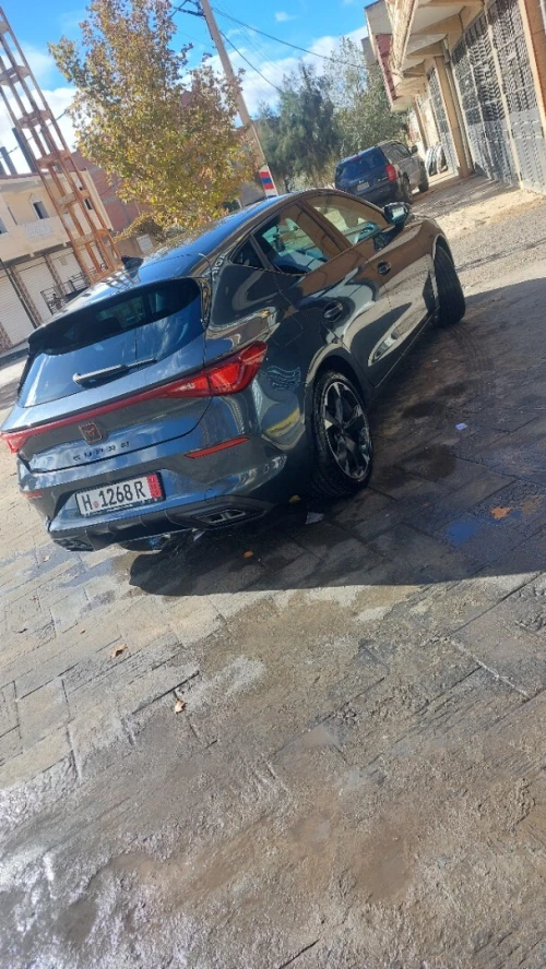 Seat Cupra  2024 