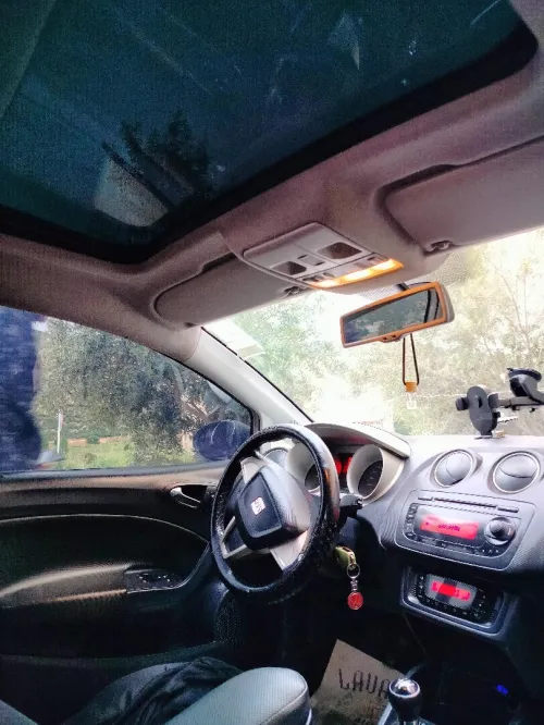 Seat Ibiza 2012 Loca