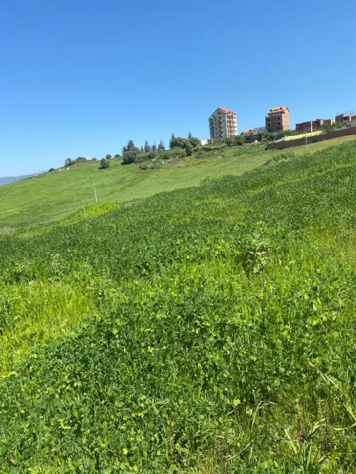 Vente Terrain Tizi Ouzou Draa ben khedda