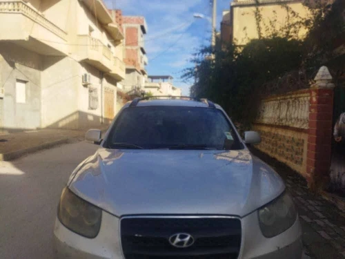 Hyundai SantaFe 2009 SantaFe