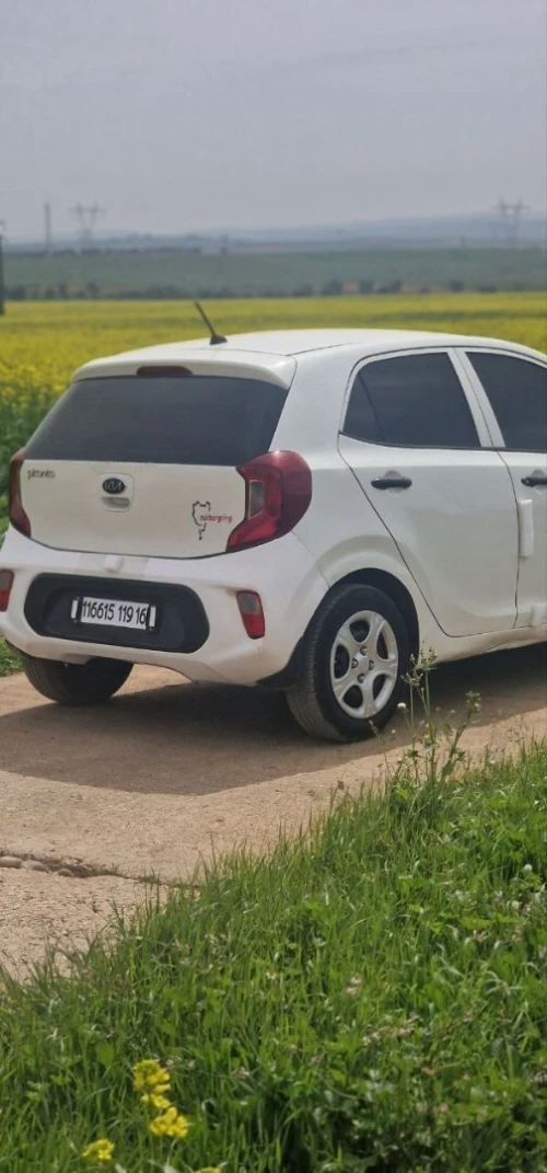 Kia Picanto 2019 LX