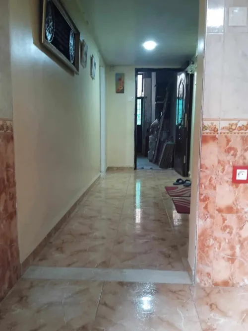 Location Appartement Studio Alger Saoula