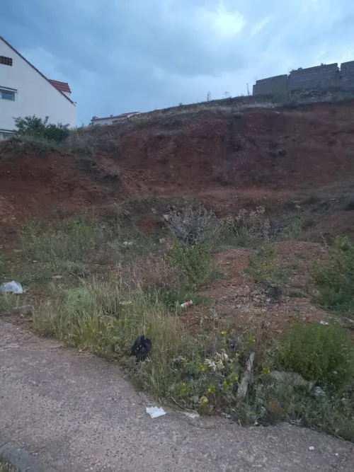 Vente Terrain Bouira Bouira