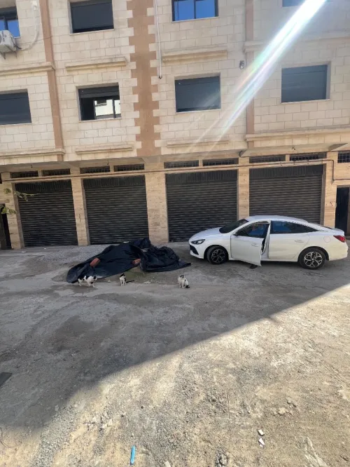 Location Local Alger Bab ezzouar