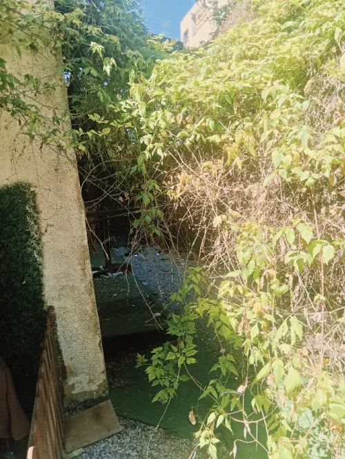 Vente Appartement F3 F4 Alger Ain naadja