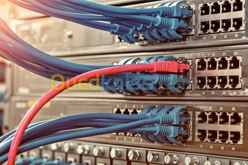 Installation de réseau informatique et téléphonique (Câble FTP Cat5e, 6 et 6a , armoires de brassages, panneau de brassage, switch, Point WiFi ...)