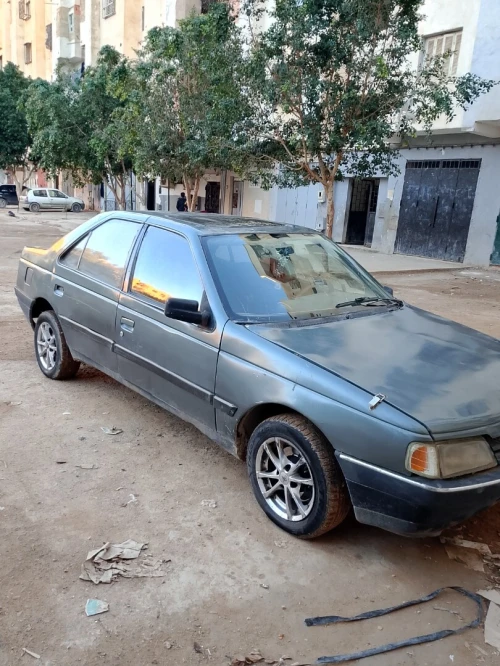 Peugeot 405 1991 405