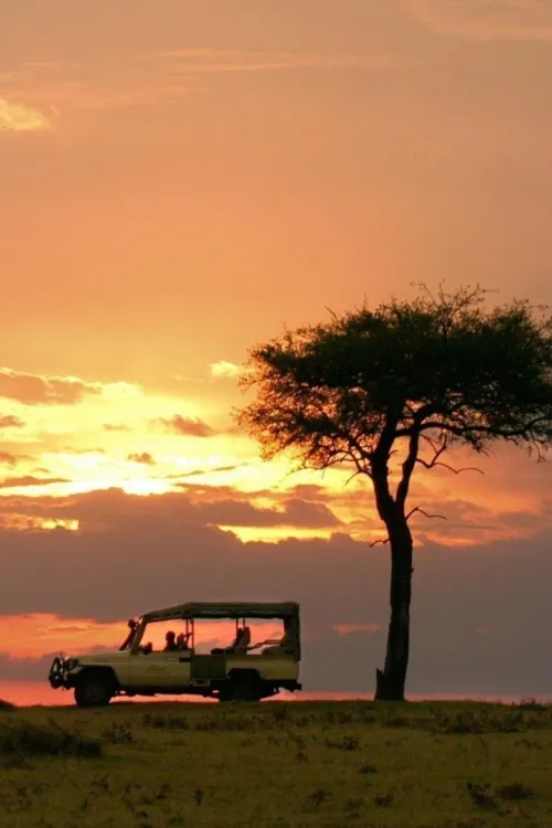 SAFARI & PLAGE AU KENYA 