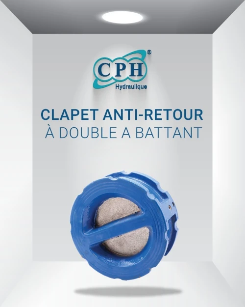 CLAPET ANTI-RETOUR À BATTANT / À DOUBLE BATTANT (SANDWICH) / À BOULE