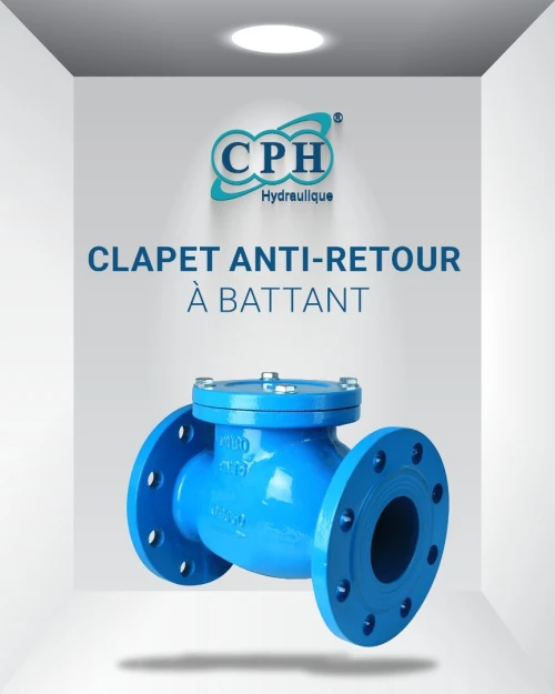 CLAPET ANTI-RETOUR À BATTANT / À DOUBLE BATTANT (SANDWICH) / À BOULE