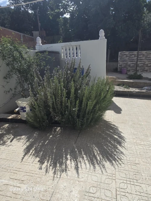 Location Appartement Niveau de villa F2 Tizi Ouzou Yakouren