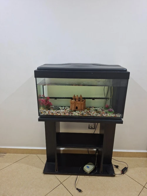 Aquarium