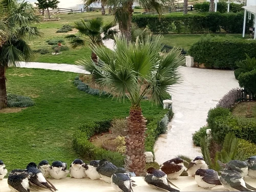Location Appartement F4 Tunisie