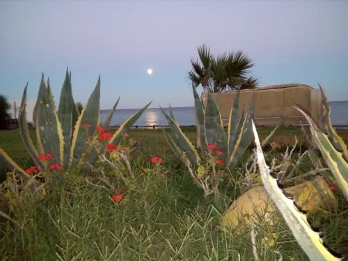 Location Appartement F4 Tunisie