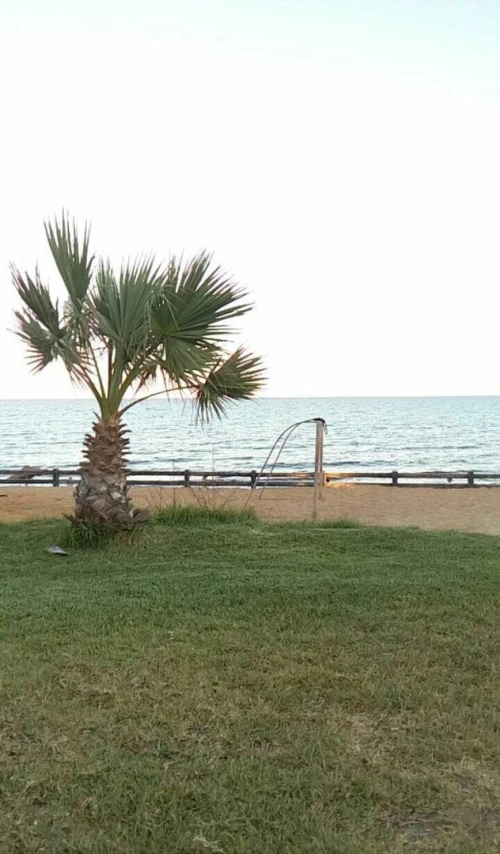 Location Appartement F4 Tunisie
