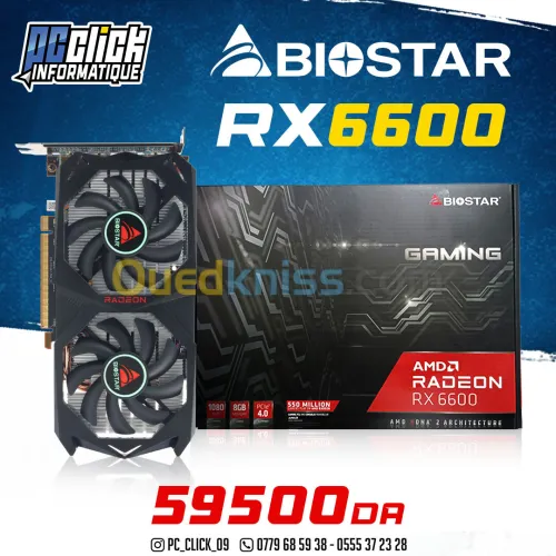 BIOSTAR AMD RADEON RX6600 8GB  
