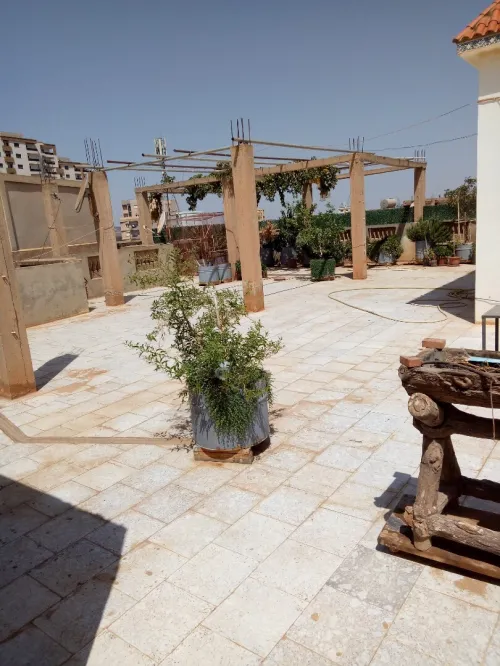 Vente Villa Tlemcen Mansourah