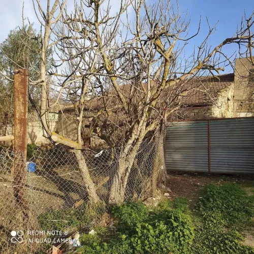 Vente Villa Guelma Ras el agba
