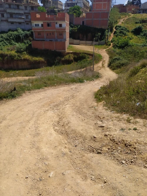 Vente Terrain Alger Saoula