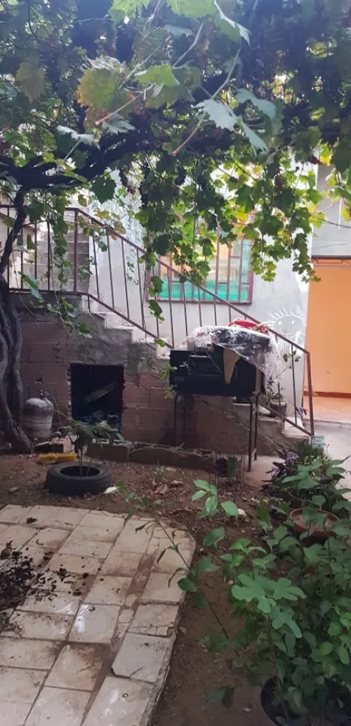 Vente Niveau De Villa F4 Tiaret Tiaret
