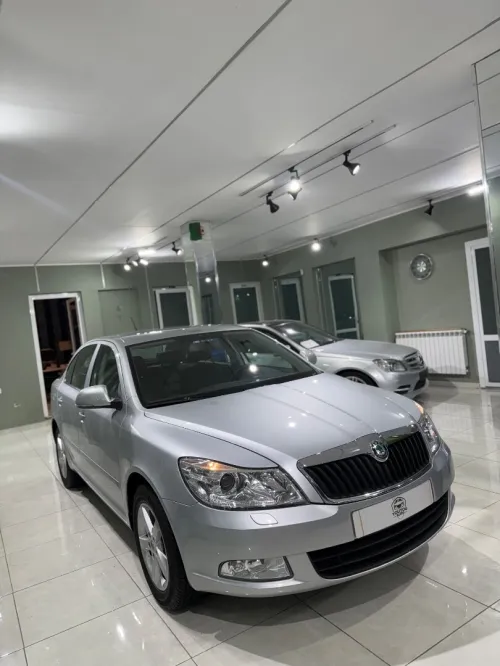 Skoda Octavia 2013 Octavia 43