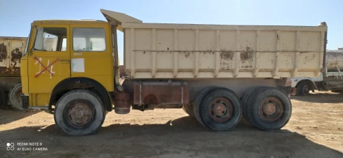 Fiat 619 300 1981