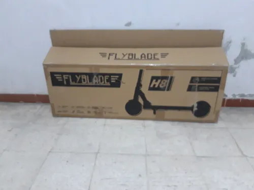 FLYBLADE Electrique 2025