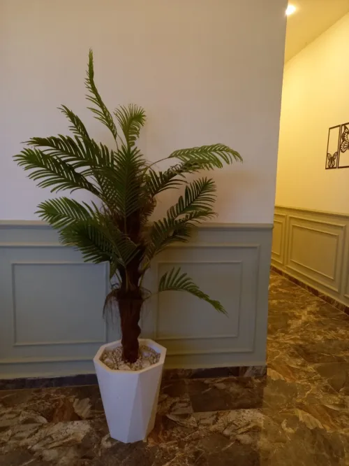 Location Appartement F3 Oran Bir el djir