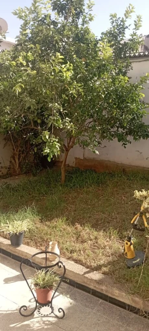 Location Appartement F2 Alger Hydra