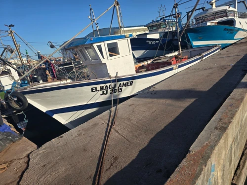 Sardinier 13m construction bois