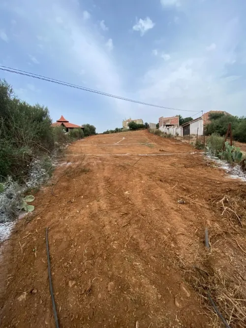 Vente Terrain Boumerdès El kharrouba