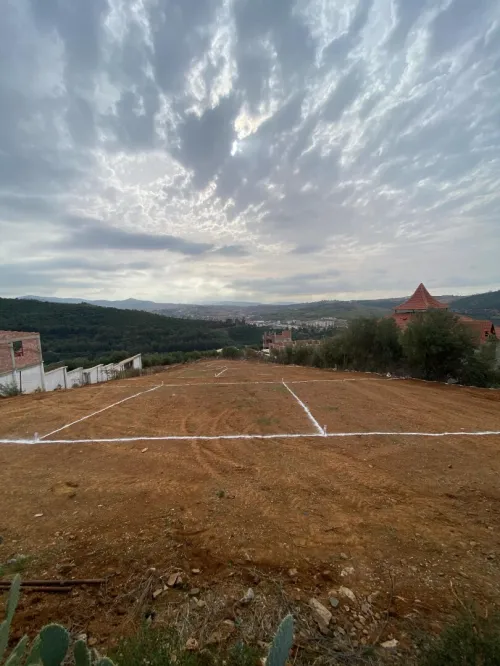 Vente Terrain Boumerdès El kharrouba