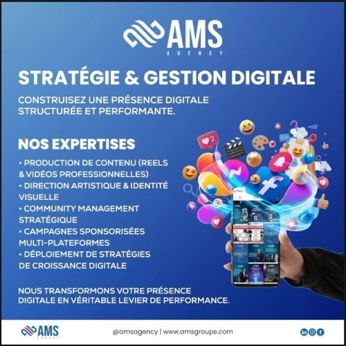 Stratégie et gestion digitale