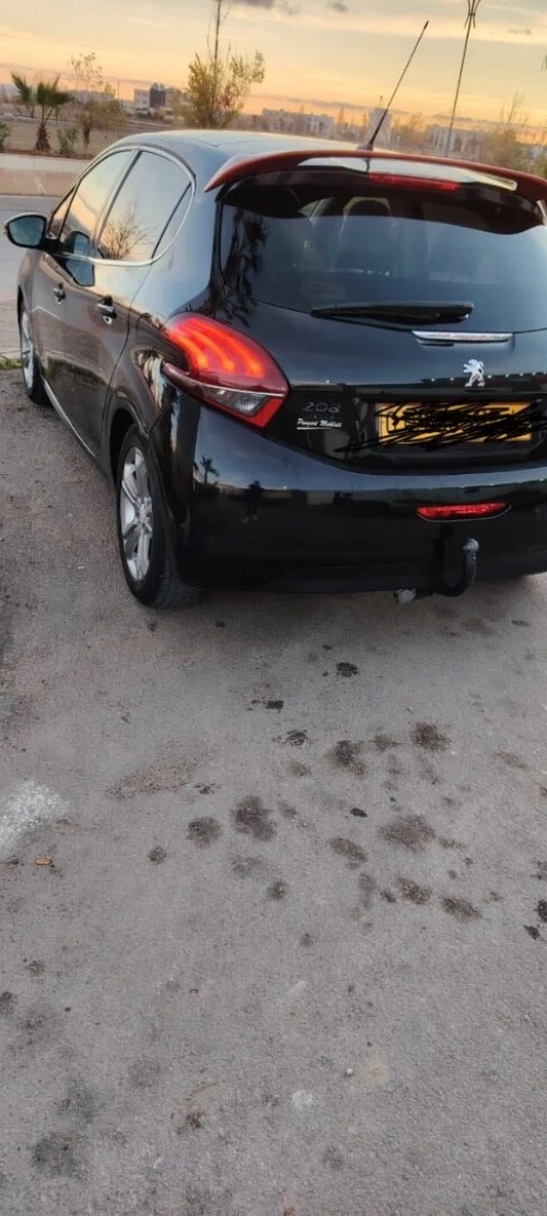 Peugeot 208 2015 Roland Garros