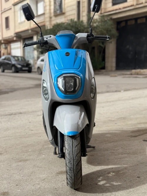 Estate x Estate x 2023