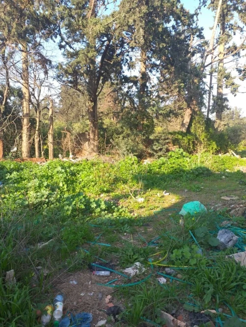 Vente Terrain Blida Soumaa